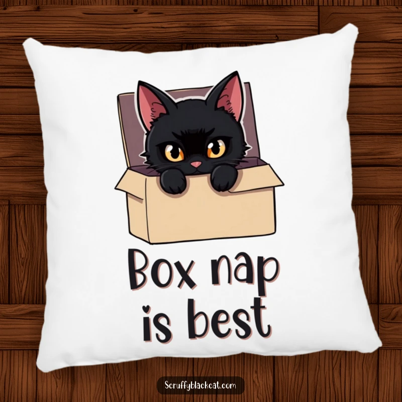 Funny Cat Pillow with a mischievous black cat peeking from a box, eyes gleaming, offering cozy mystery and charm.